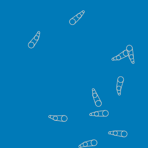 a blue image with multiple white wireframe fish swimming about creepily